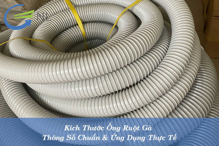 kich-thuoc-ong-ruot-ga