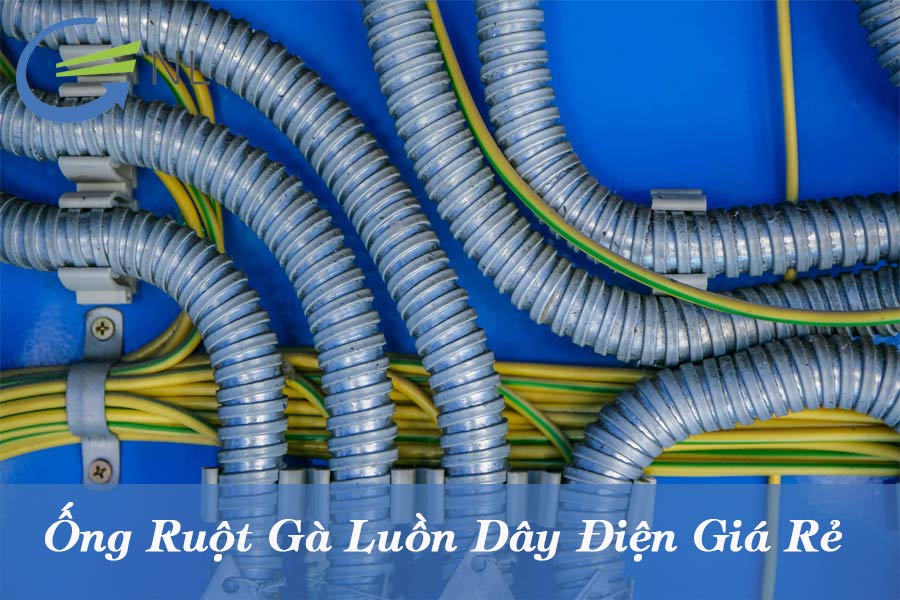 ong-ruot-ga-luon-day-dien