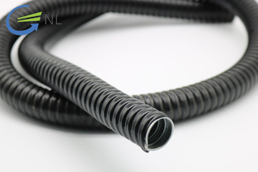 mua-ong-ruot-ga-luon-cap-dien-2