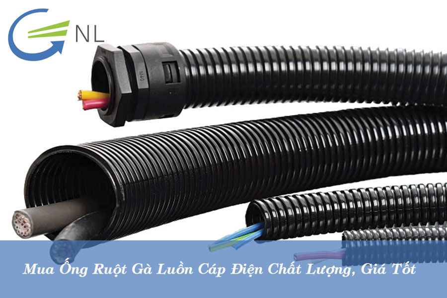 mua-ong-ruot-ga-luon-cap-dien