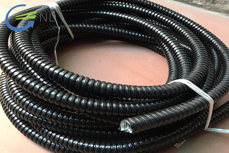 ong-ruot-ga-mau-den-nguyen-lam-1