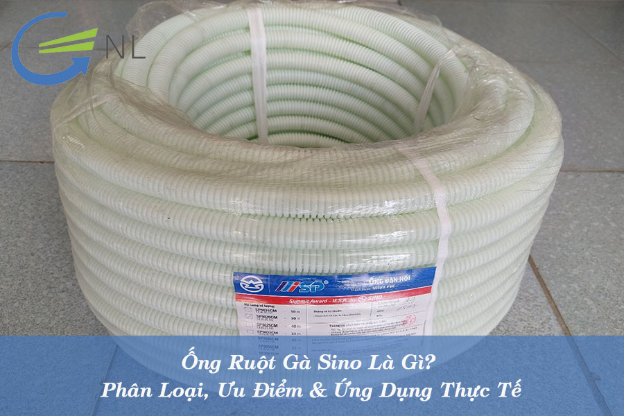 ong-ruot-ga-sino-la-gi