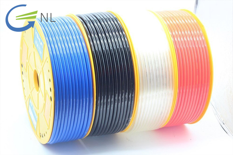 phan-biet-ong-hoi-pu-chinh-hang-va-hang-nhai-1