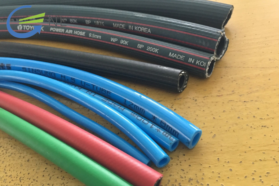 phan-biet-ong-hoi-pu-chinh-hang-va-hang-nhai-2