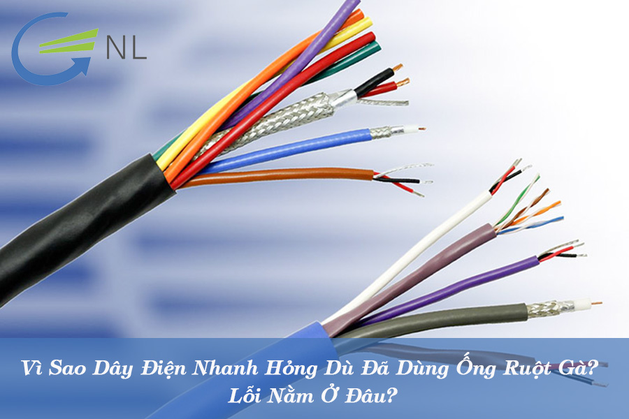 vi-sao-day-dien-nhanh-hong-du-da-dung-ong-ruot-ga