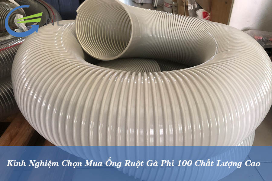 kinh-nghiem-chon-mua-ong-ruot-ga-phi-100