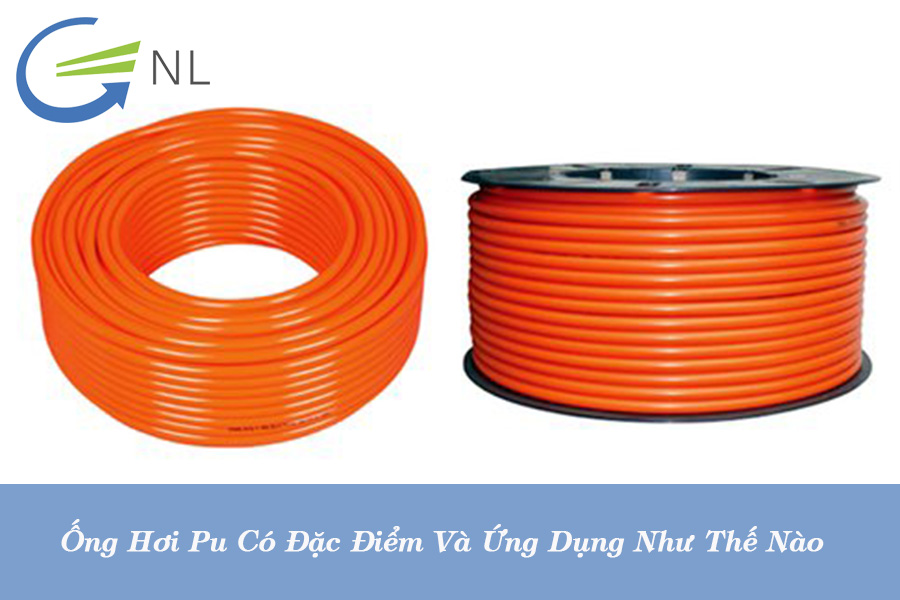 ong-hoi-pu-co-dac-diem-va-ung-dung