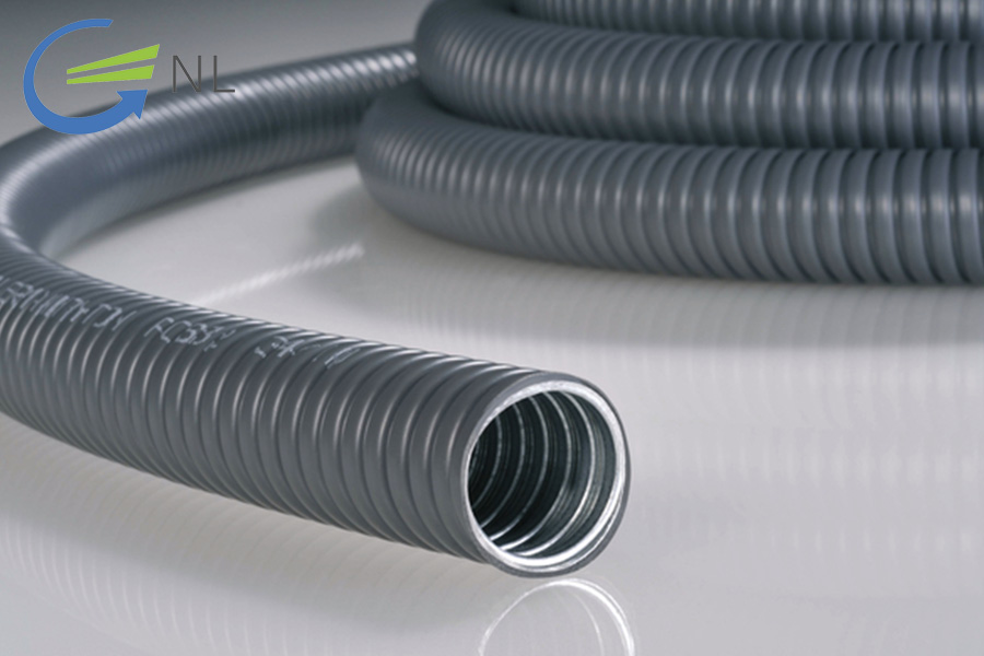 do-ben-cua-ong-ruot-ga-la-bao-nhieu-nam-2