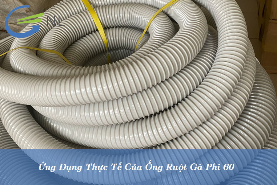 ung-dung-thuc-te-cua-ong-ruot-ga-phi-60