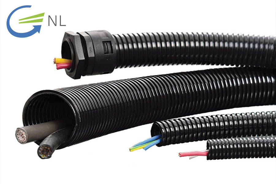 ong-ruot-ga-chiu-va-dap-co-hoc-1