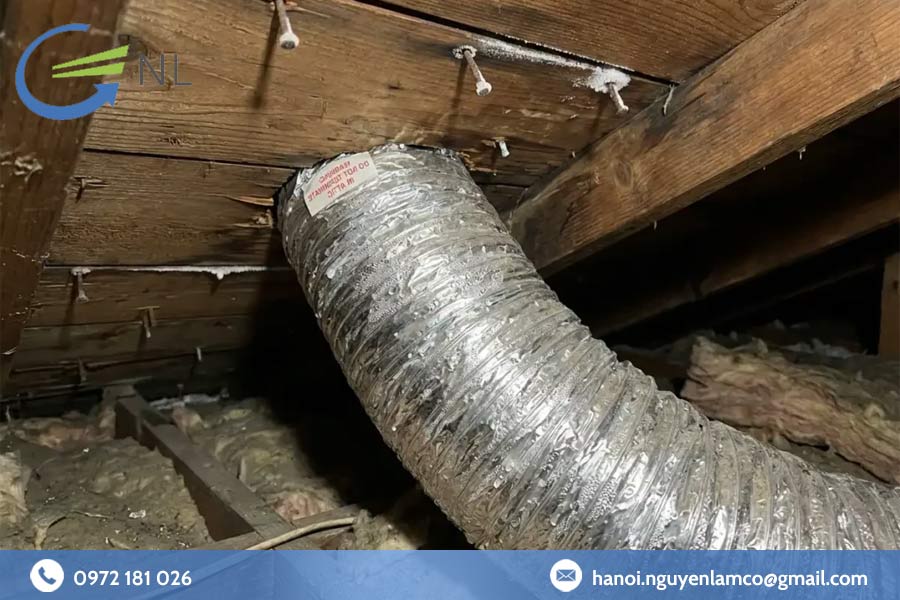 tac-hai-cua-ro-ri-ong-gio